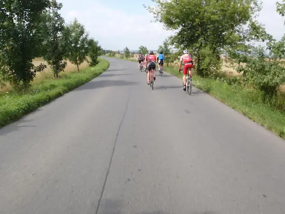 Pražský Král 2012 – fotka 3