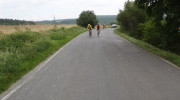 2012 (7/39)