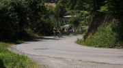 2015 (136/164)