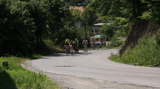 2015 (137/164)
