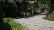 2015 (138/164)